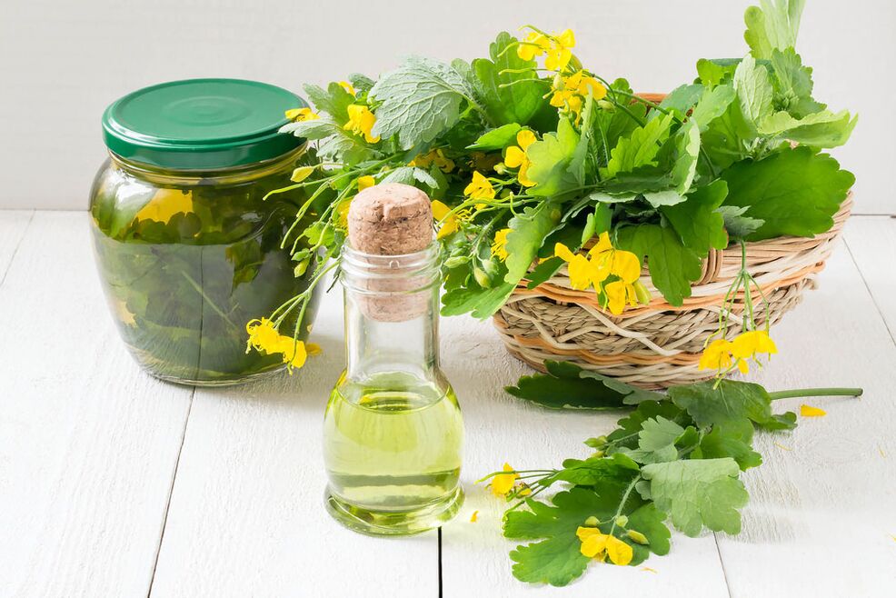 Infusion, oil and freshly picked celandine for toenail fungus